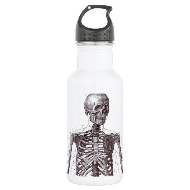 Full Skeleton Stainless Steel Water Bottle (Front)
