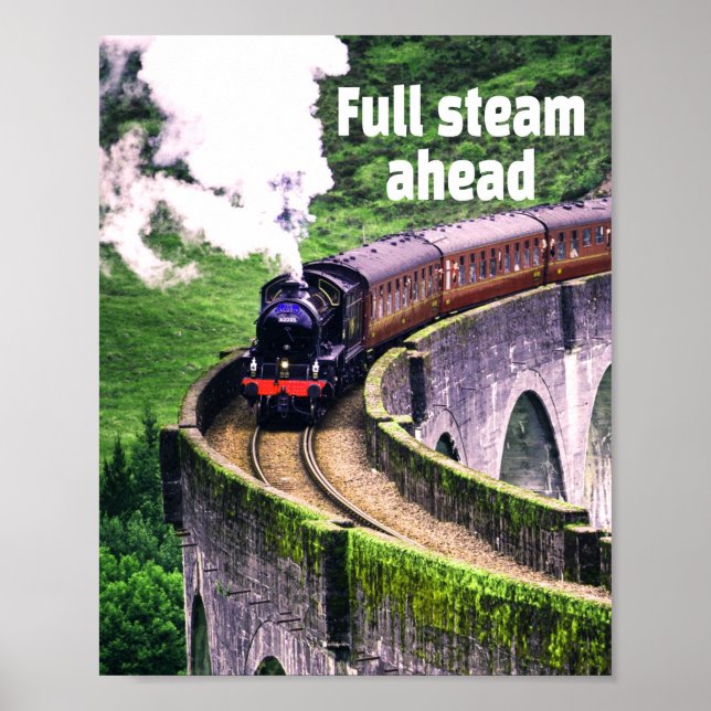 Full steam ahead Locomotive Train on Bridge Poster (Front)