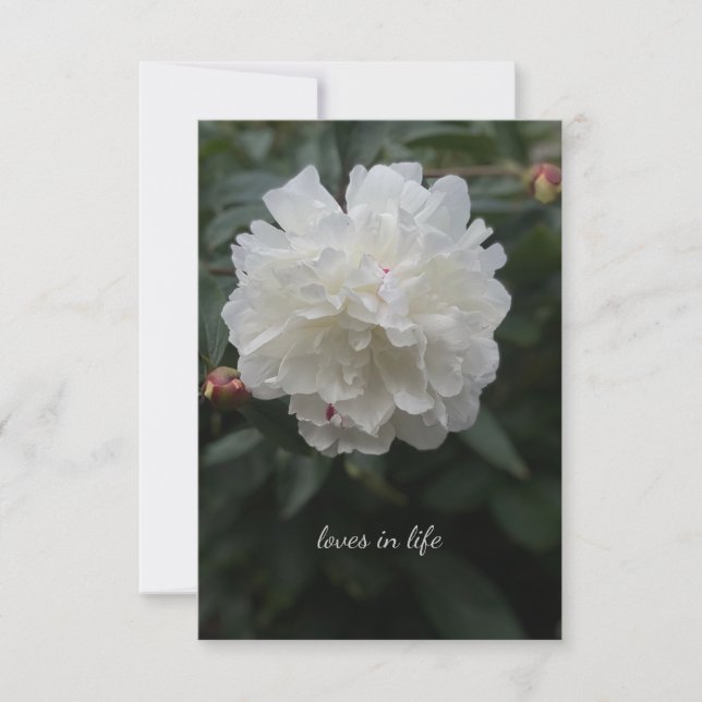 Full White Peony Note Card (Front)