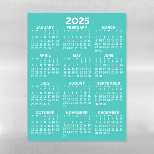 Full Year View Calendar _ Basic Aqua Minimal Magnetic Dry Erase Sheet