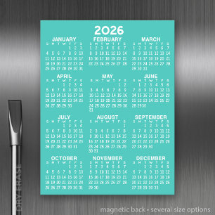 Full Year View Calendar - Basic Aqua Minimal Magnetic Dry Erase Sheet