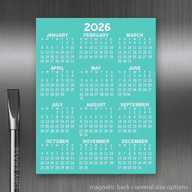 Full Year View Calendar - Basic Aqua Minimal Magnetic Dry Erase Sheet (2026 Calendar )