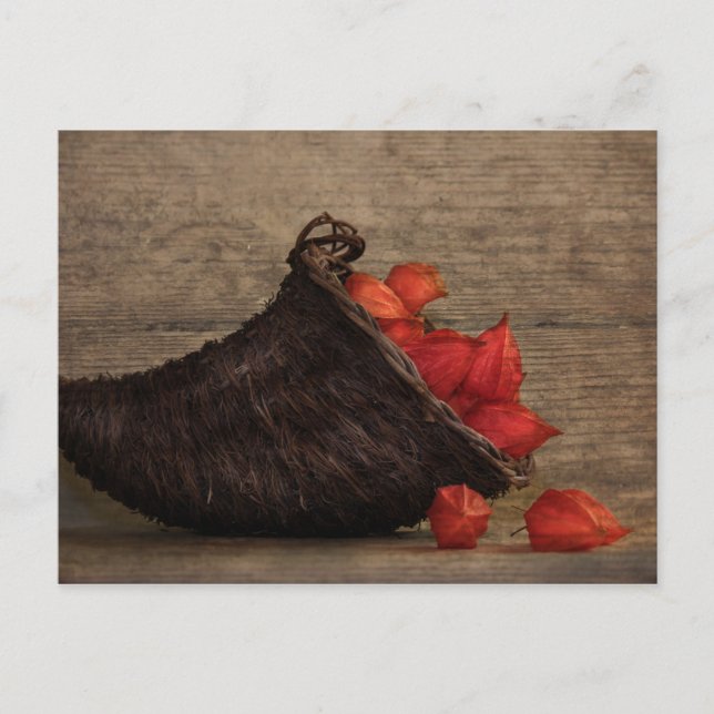 Füllhorn Postcard (Front)