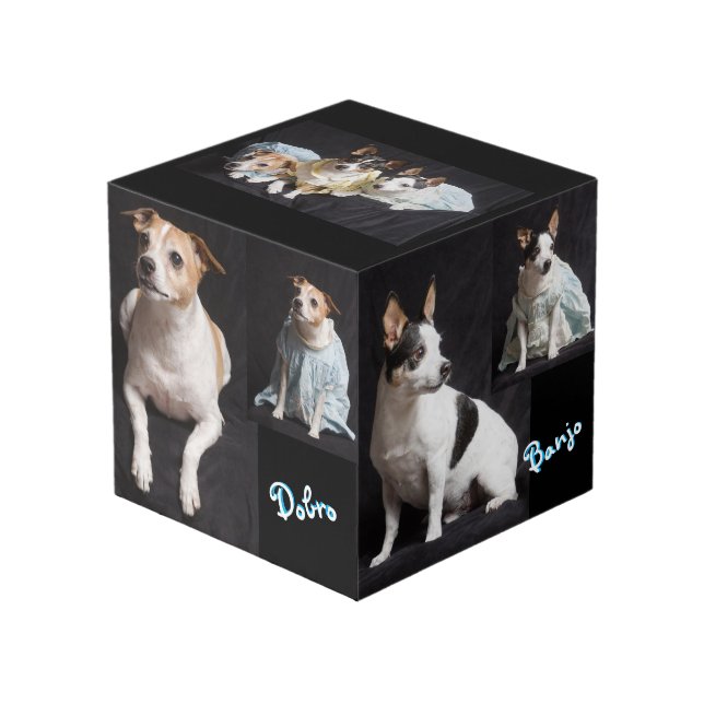 Fully customizable photo cube (Front Angled)