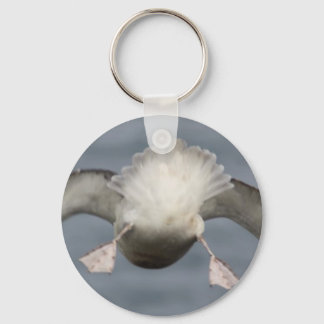 Fulmar Keychain