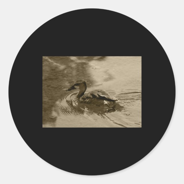 Fulvous Whistling Duck Valencia Tint Sticker  (Front)