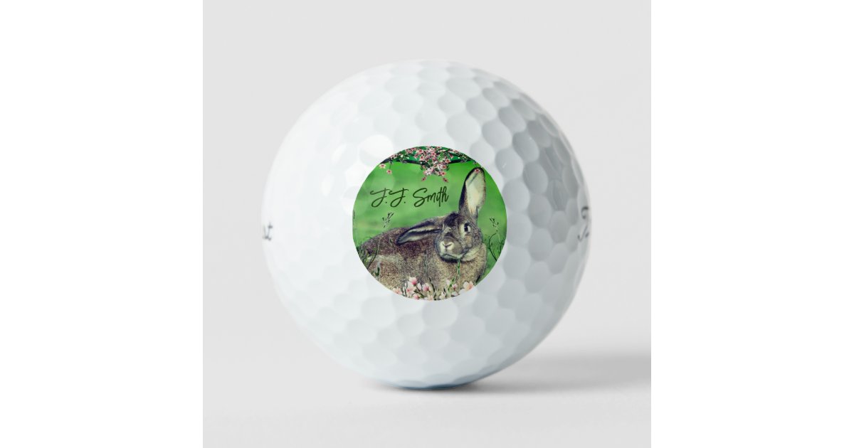 https://rlv.zcache.com/fun_12_pack_hare_rabbit_personalized_animal_golf_balls-r62ede91f37414bbc874aabc4fb016f1e_c2jdq_630.jpg?rlvnet=1&view_padding=%5B285%2C0%2C285%2C0%5D