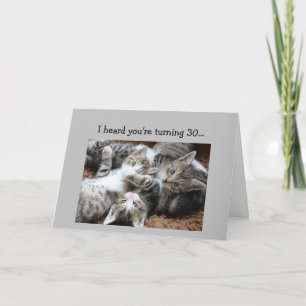 Fun 30th Birthday Kitten Cat Animal Humor  Card