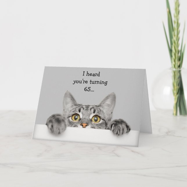 Fun 65th Birthday with Cat Animal Humor Card (Front)