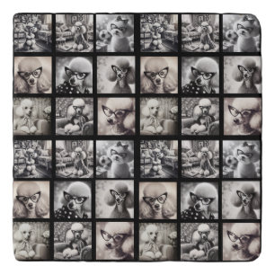 Fun 9 Photo Collage Pictures Trivet