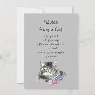 Fun Advice from a Cat Fun Animal Humor