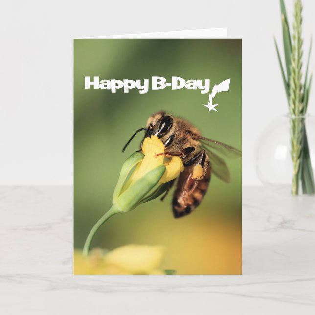 Fun And Cool Garden Honey Bee Happy Birthday Card (Front)