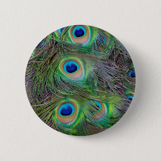 Fun and Cool peacock feather design Pinback Button (Front)