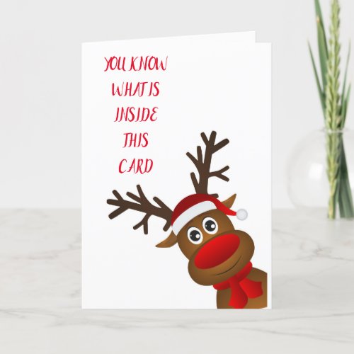 FUN AND COOL WISH FOR YOU AT CHRISTMAS HOLIDAY CARD