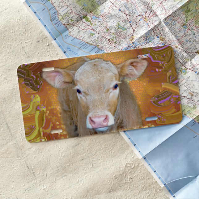 Fun and cute little calf with big eyes  license plate (In Situ)