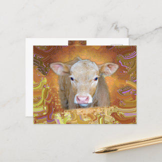 Fun and cute little calf with big eyes postcard