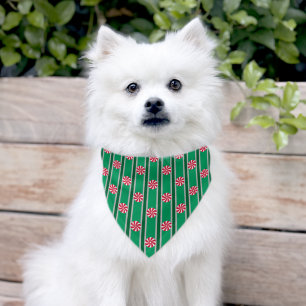 Fun and Fancy Christmas Peppermint Candy Pet Bandana Collar