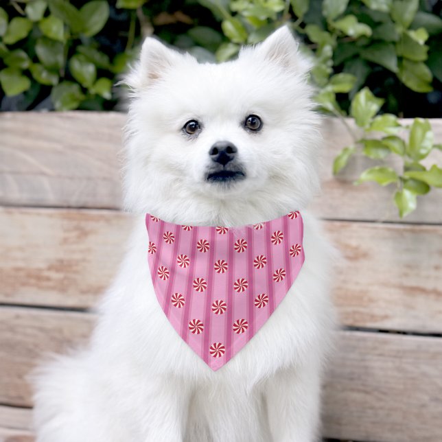 Fun and Fancy Pink Christmas Peppermint Candy Pet Bandana Collar (Dog)