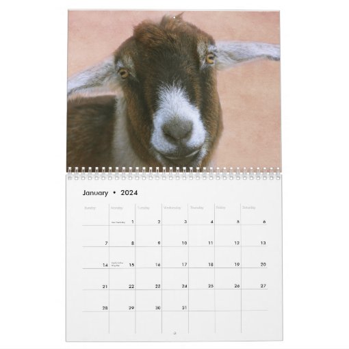 Fun And Friendly Goat Calendar Zazzle