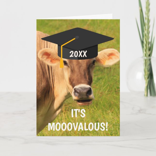 Fun And Silly Cow Graduation Card (Front)