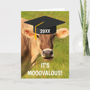 Fun And Silly Cow Graduation Card