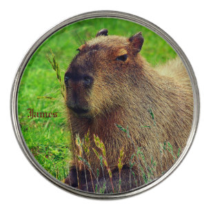 Fun Animal Capybara Golf Ball Marker