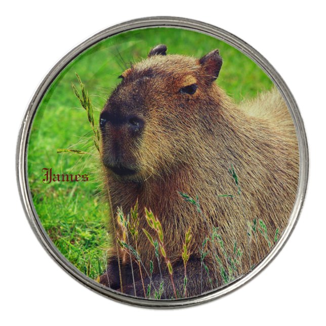 Fun Animal Capybara  Golf Ball Marker (Front)