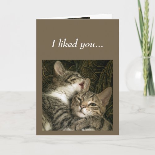 Fun Anniversary Cats Love You Keeping you Card