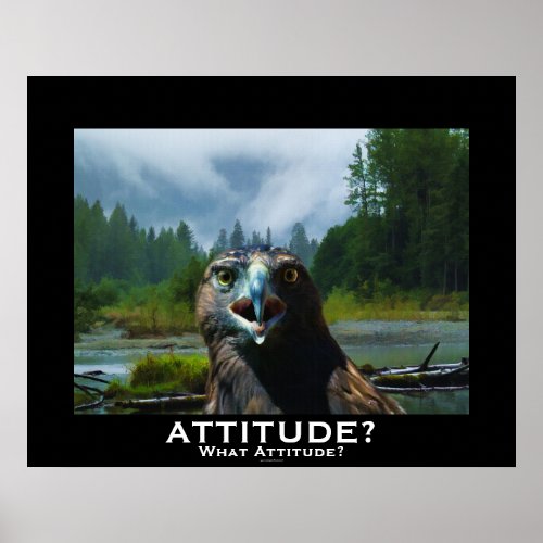 Fun Bald Eagle and Misty Alaskan River ATTITUDE Poster