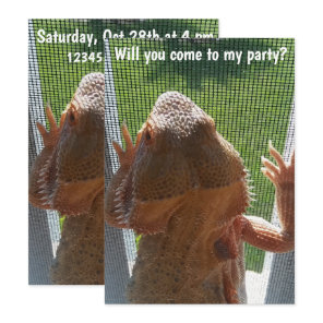 Fun Bearded Dragon Birthday Party Invitation