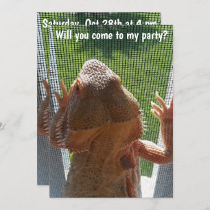 Fun Bearded Dragon Birthday Party Invitation