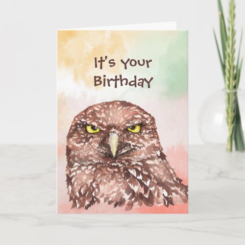 Fun Belated Birthday Sorry Owl Bird Animal Nature  Holiday Card