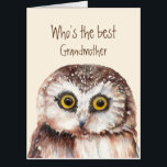 Fun Best Grandmother Birthday Wise Owl Humor Card<br><div class="desc">Hooo's the best Grandmother? Birthday    You are and I hope you have a wonderful birthday with cute watercolor owl bird.</div>