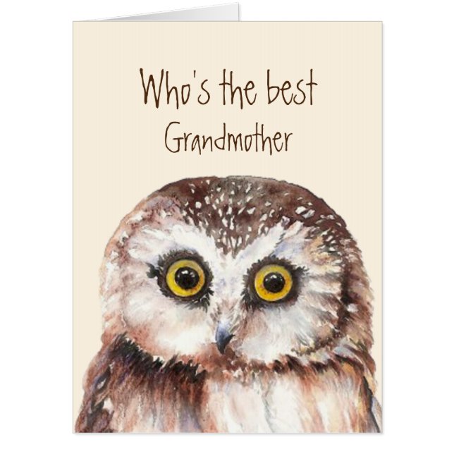 Fun Best Grandmother Birthday Wise Owl Humor Card (Front)