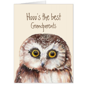 Fun Best Grandparents Anniversary Wise Owl Humor Card