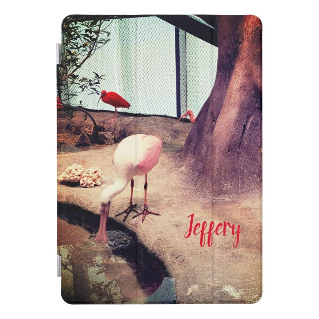 Fun Birds Roseate Spoonbill iPad Pro Cover (Front)