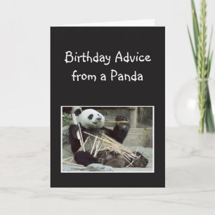 Fun Birthday Advice from Panda Bear Animal Humor Card