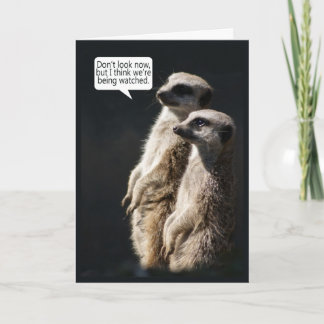 Fun Birthday Card With Meerkats - Humour