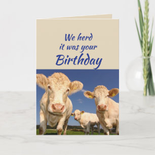 Fun Birthday From the Group Cow Animal Humor Card