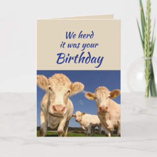 Fun Birthday From the Group Cow Animal Humor Card