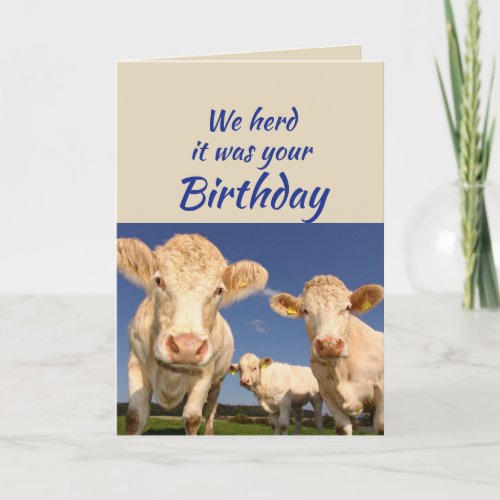Fun Birthday From Us Cow Animal Humor Card