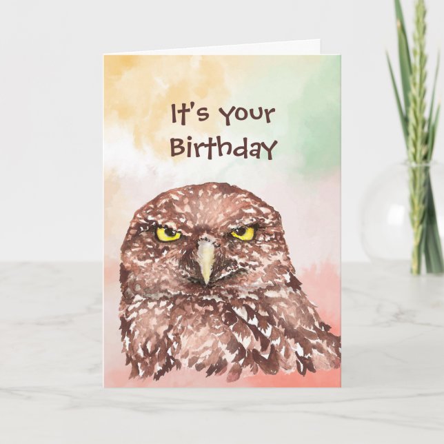 Fun Birthday Owl End of Crappy Year Humor Holiday Card (Front)