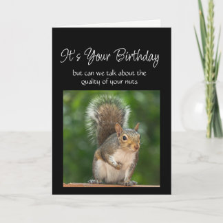 Fun Birthday Squirrel Feeder Nuts Question Card
