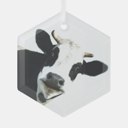 Fun Black White Cow Farm Animal Humor  Glass Ornament