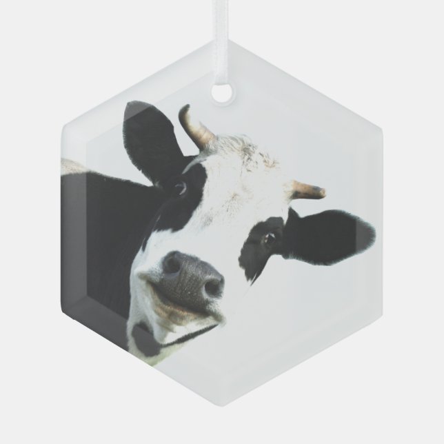 Fun Black White Cow Farm Animal Humor  Glass Ornament (Front)