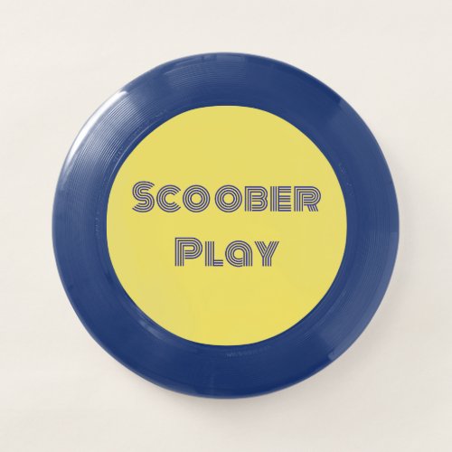 Fun Blue Frisbee Scoober Play