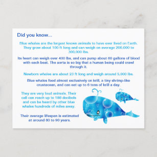 Fun Blue Whale Facts Postcard