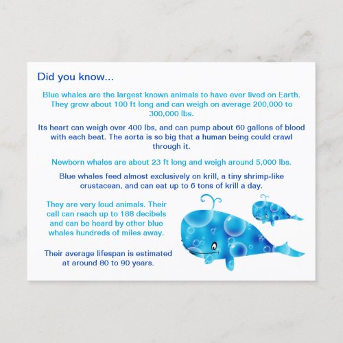 Fun Blue Whale Facts Postcard