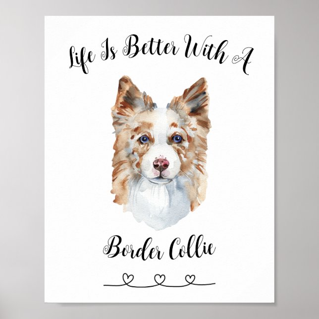 Fun Border Collie Watercolor Wall Art Poster  (Front)