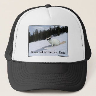 Fun "Break out of the Box" Cat Ball Cap